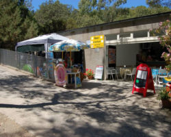 Market