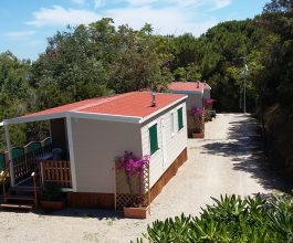 MOBILHOME 4 POSTI